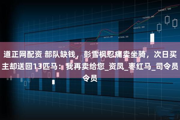道正网配资 部队缺钱，彭雪枫忍痛卖坐骑，次日买主却送回13匹马：我再卖给您_资凤_枣红马_司令员