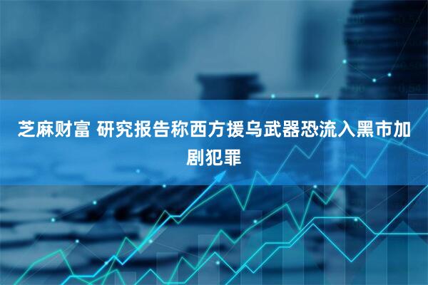 芝麻财富 研究报告称西方援乌武器恐流入黑市加剧犯罪