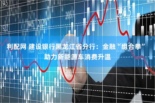 利配网 建设银行黑龙江省分行：金融“组合拳” 助力新能源车消费升温