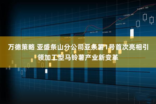 万德策略 亚盛条山分公司亚条薯1号首次亮相引领加工型马铃薯产业新变革