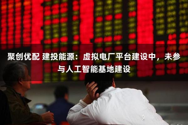 聚创优配 建投能源：虚拟电厂平台建设中，未参与人工智能基地建设