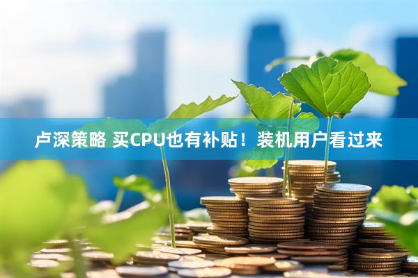 卢深策略 买CPU也有补贴！装机用户看过来
