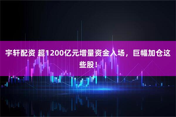 宇轩配资 超1200亿元增量资金入场，巨幅加仓这些股！
