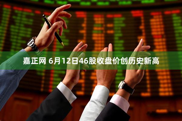 嘉正网 6月12日46股收盘价创历史新高