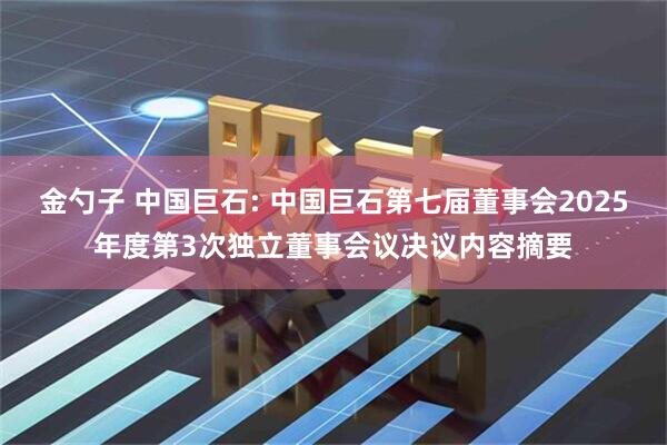 金勺子 中国巨石: 中国巨石第七届董事会2025年度第3次独立董事会议决议内容摘要