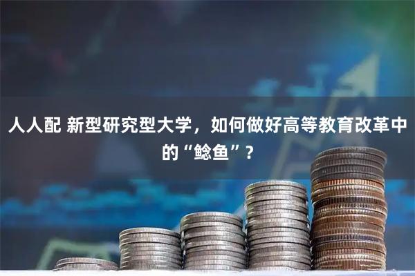人人配 新型研究型大学，如何做好高等教育改革中的“鲶鱼”？