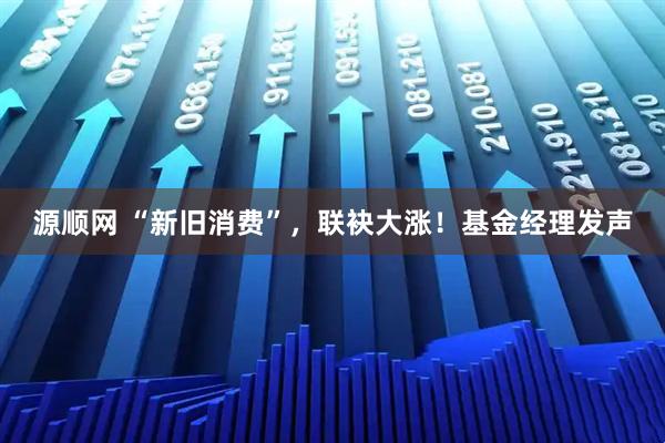 源顺网 “新旧消费”，联袂大涨！基金经理发声