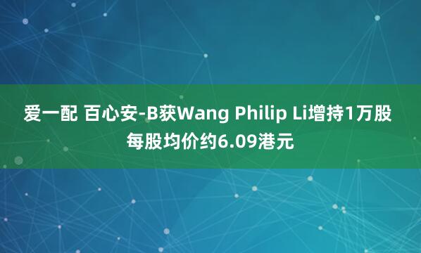 爱一配 百心安-B获Wang Philip Li增持1万股 每股均价约6.09港元