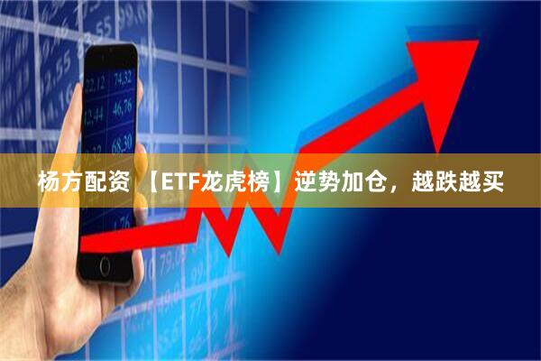 杨方配资 【ETF龙虎榜】逆势加仓，越跌越买