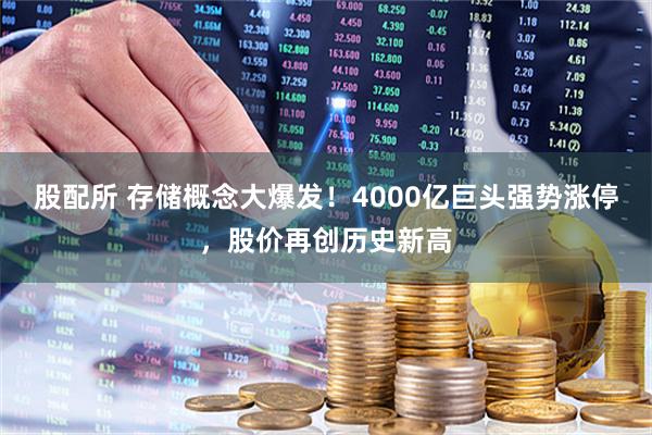 股配所 存储概念大爆发！4000亿巨头强势涨停，股价再创历史新高